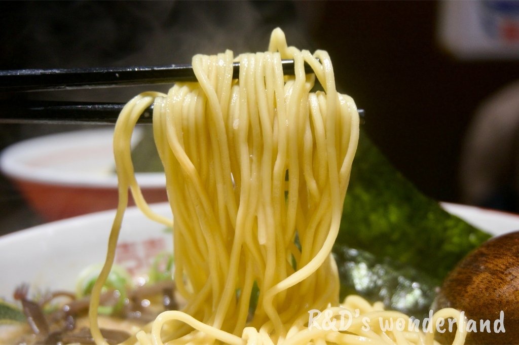 【西門拉麵】道樂商店拉麵 (附菜單)－平價雞白湯、鹽味柚子拉